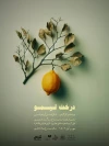 پوستر نمایش «درخت لیمو» رونمایی شد 2