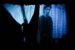 پرنده شیرین جوانی