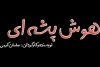 «هوش پشه‌ای» به صحنه برمی‌گردد 2
