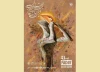 نام تمام مصلوبان عیسی است