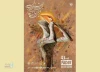95 percent of Iranian plays at the 43rd Fadjr Theater Festival