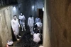جورجین