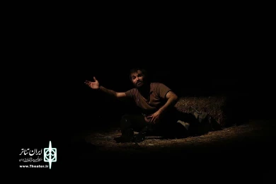 جایی میان خوک ها