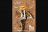 کالبدشکافی یک نامه ساده