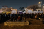 ماهی قرمز