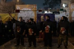 ماهی قرمز