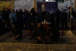 ماهی قرمز