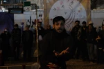 ماهی قرمز
