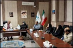 جزئیات فصل جدید همکاری‌های معاونت هنری ارشاد با دانشگاه هنر منتشر شد 3