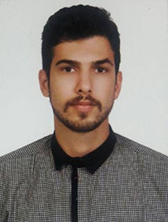محسن حسین زاده