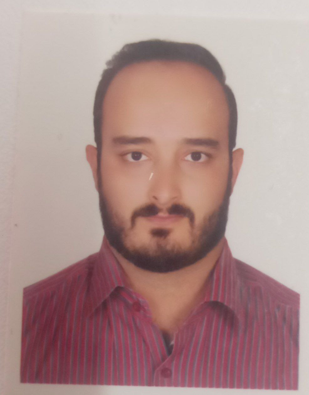 مجتبی شیرازی(قم)